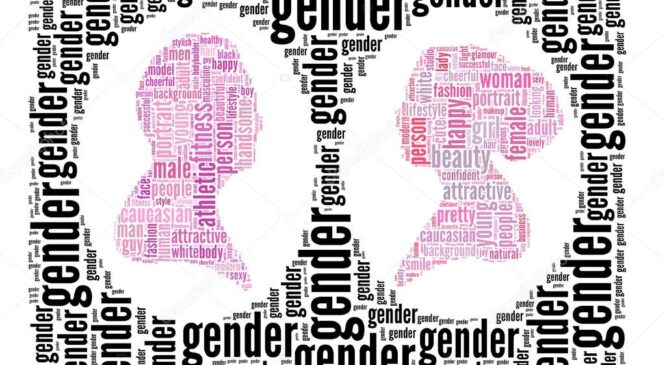Як змінювалась гендерна чутливість гіперлокальних медіа Житомирщини у 2022 році
